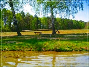 Am Großen Zechliner See